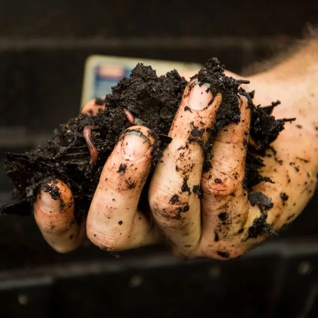 thumbnail for publication: Soils and Fertilizers for Master Gardeners: Soil Organic Matter and Organic Amendments